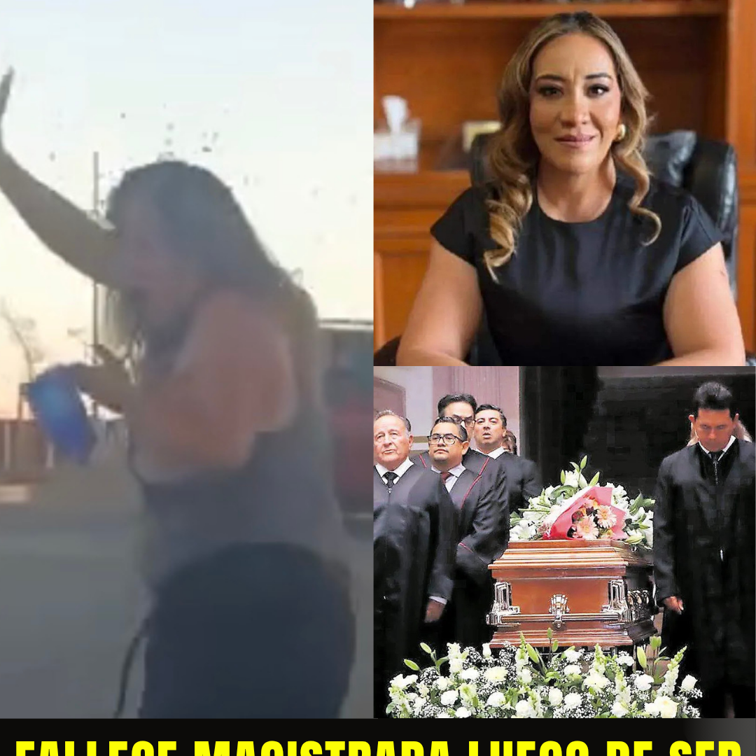 Tragedia en Zacatecas: Fallece la magistrada Rocío Posadas tras ataque de enjambre