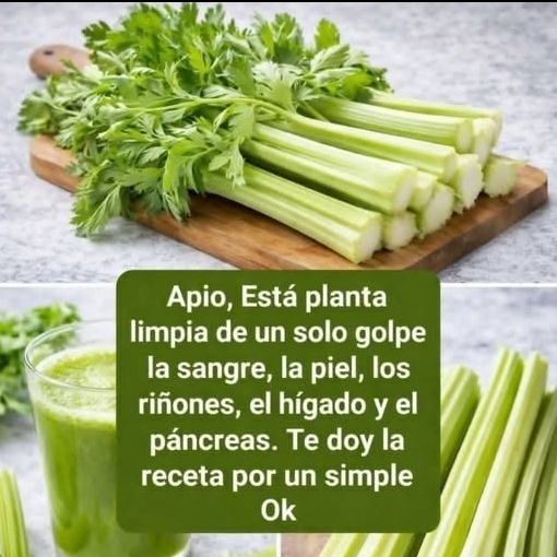 Jugos Verdes: Ayudan de Verdad al Hígado y Páncreas?