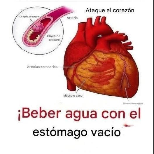 El simple Habito de Tomar Agua en Ayunas y como Puede Ayudarte