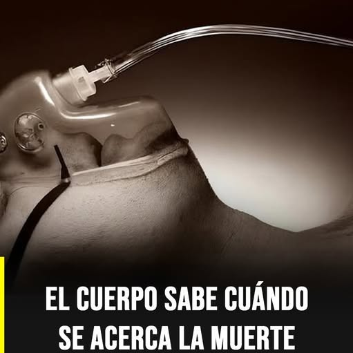 El Fenómeno de Olores antes de la Muerte y la Explicación del Cerebro Humano