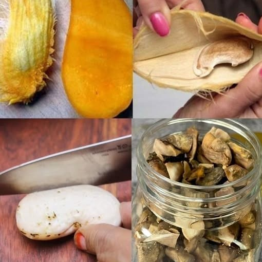 Vale la Penas Consumir la Semilla del mango? Lo que realmente se Sabe
