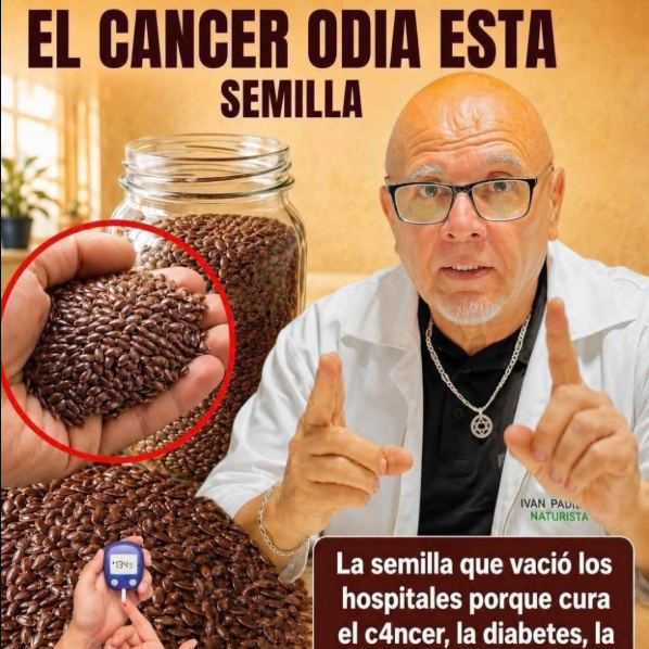 🌱 Semillas de Chía: ¿Realmente son el «milagro» que prometen las redes sociales?
