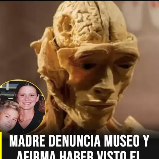 Historia de la Madre que Encontró a su Hijo en El Museo